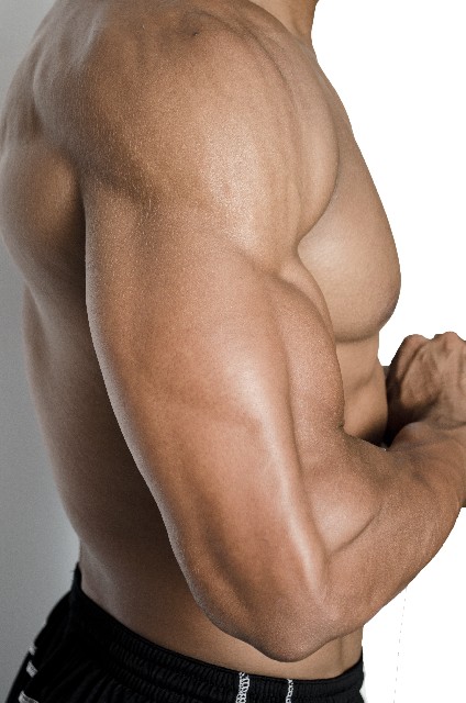 腕を太くするための筋トレ方法とは？