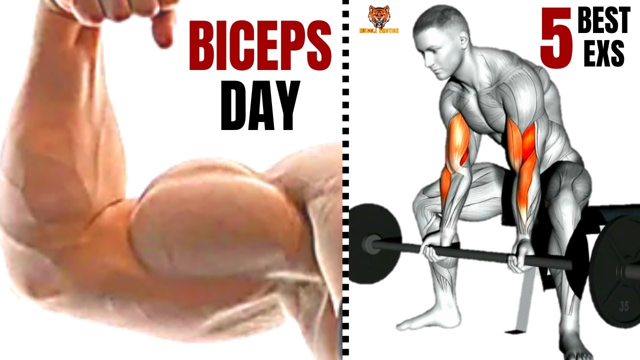 5 BEST BICEPS WORKOUT AT GYM TO GET BIGGER ARMS FAST/ Musculation des